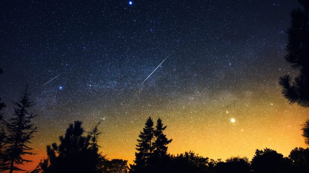 La pluie de météores Leonid atteint son apogée le 17 novembre.