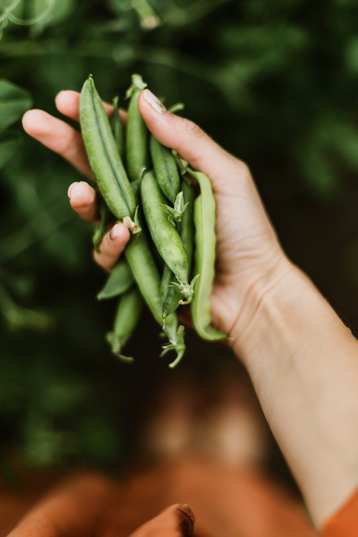 Le café de pois peut sembler peu attrayant à première vue, mais ceux qui l'ont essayé s'accordent à dire que son goût est délicieux.